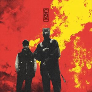 Twenty One Pilots - Paladin Strait